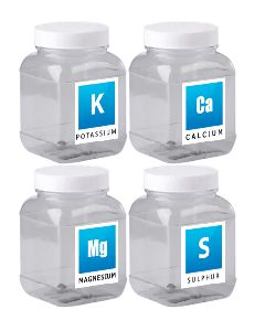 Powder Container Set ( Ca - Mg - K - S )